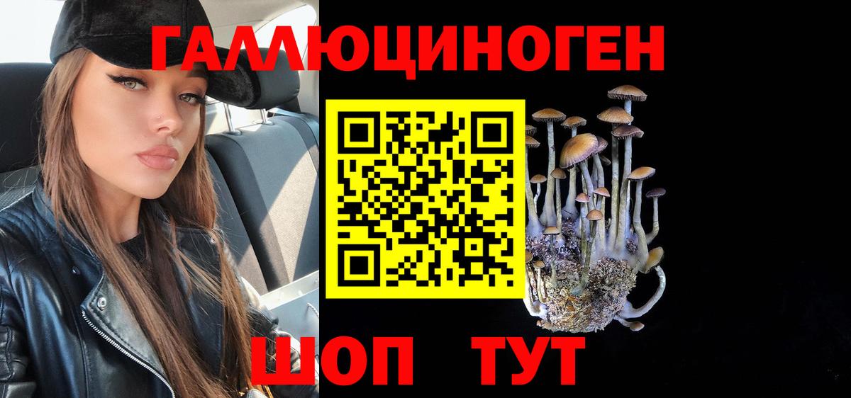 Галлюциногенные грибы прущие грибы Петропавловск-Камчатский