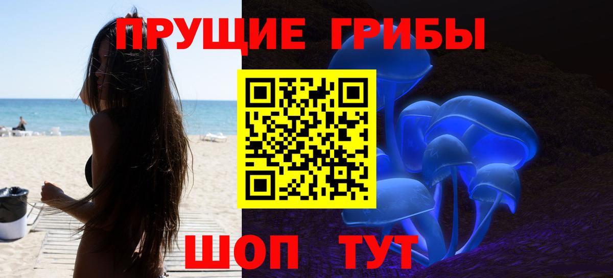 Псилоцибиновые грибы Psilocybe  Псилоцибиновые грибы мухоморы  Петропавловск-Камчатский  что такое   Вход с VPN 